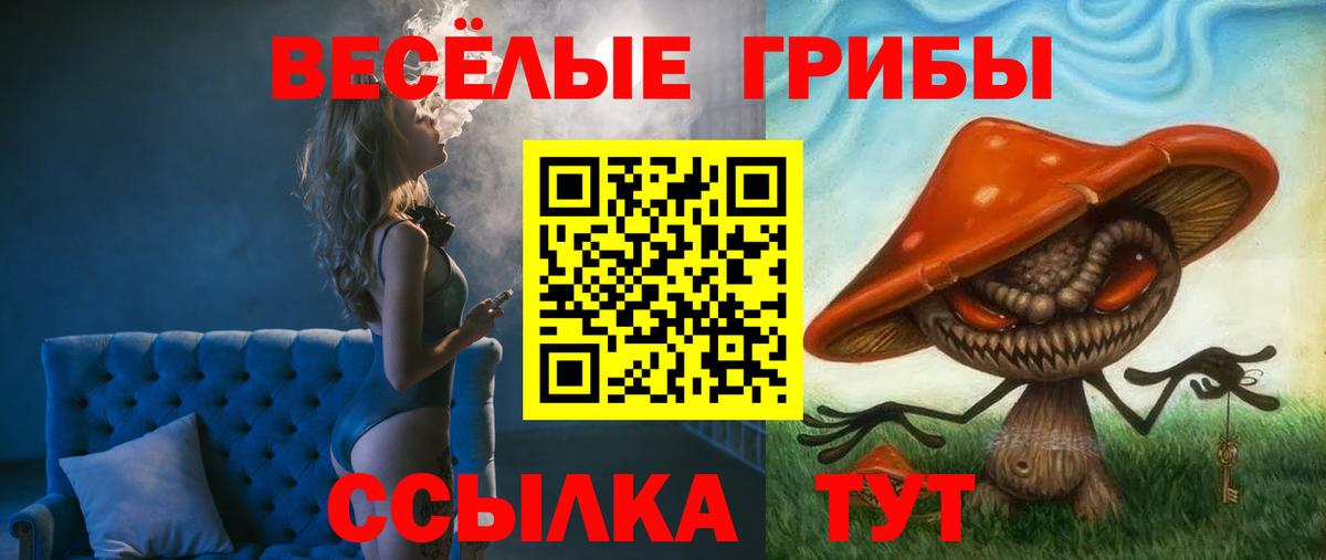 Ухта  Псилоцибиновые грибы прущие грибы  Вход с VPN 